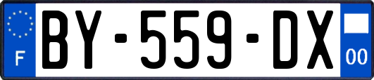 BY-559-DX