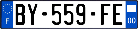 BY-559-FE
