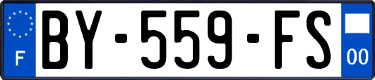 BY-559-FS
