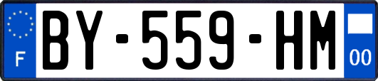 BY-559-HM