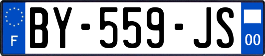 BY-559-JS