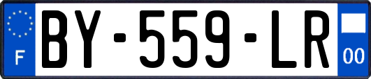 BY-559-LR