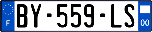 BY-559-LS