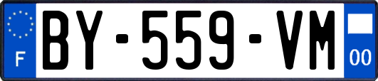BY-559-VM