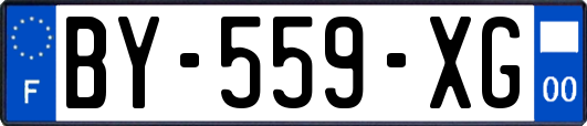 BY-559-XG