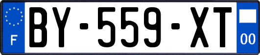 BY-559-XT