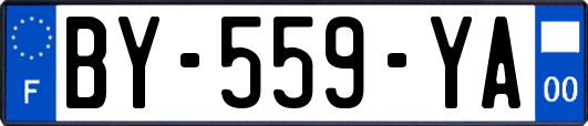 BY-559-YA