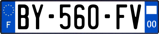 BY-560-FV
