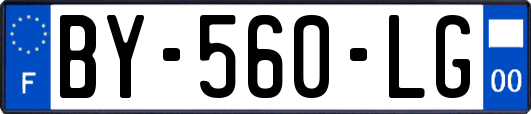 BY-560-LG