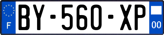 BY-560-XP