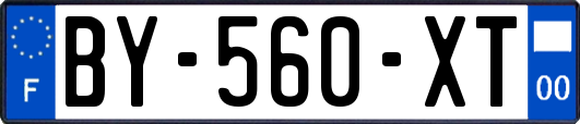 BY-560-XT