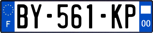 BY-561-KP