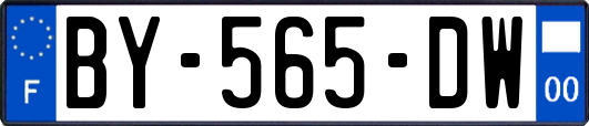 BY-565-DW