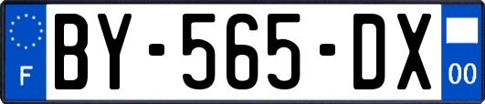 BY-565-DX