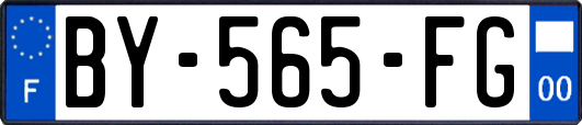 BY-565-FG