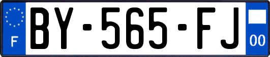 BY-565-FJ