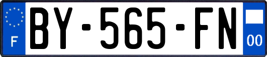 BY-565-FN
