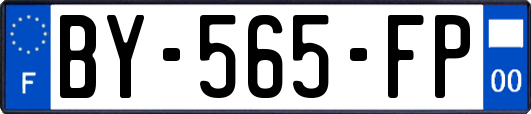 BY-565-FP