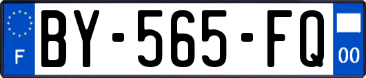 BY-565-FQ