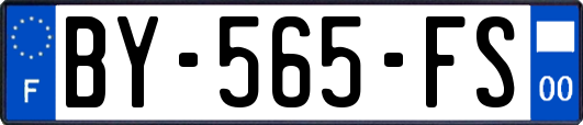 BY-565-FS