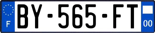 BY-565-FT