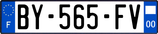 BY-565-FV