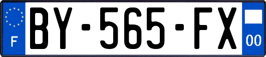 BY-565-FX