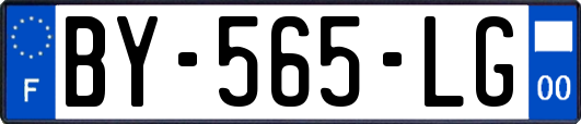 BY-565-LG