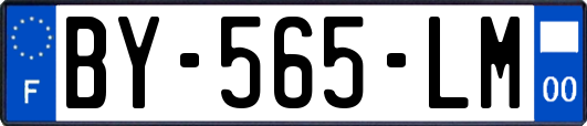 BY-565-LM