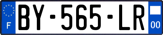 BY-565-LR