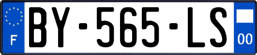 BY-565-LS
