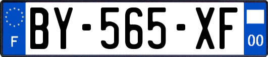 BY-565-XF
