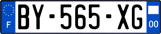 BY-565-XG
