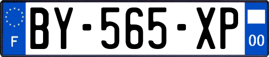 BY-565-XP