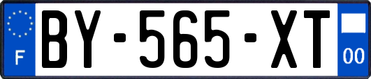 BY-565-XT