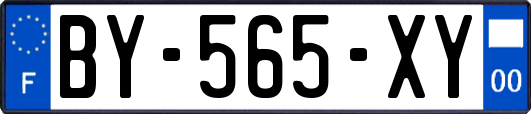 BY-565-XY