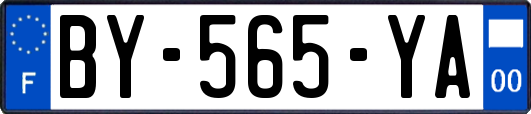 BY-565-YA
