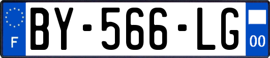 BY-566-LG