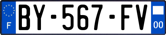 BY-567-FV