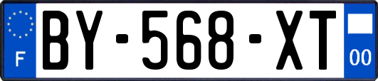 BY-568-XT