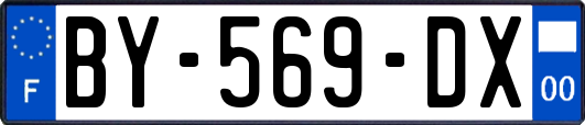 BY-569-DX