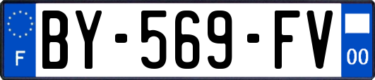 BY-569-FV