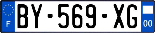 BY-569-XG