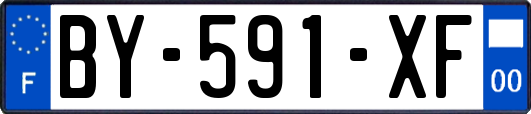 BY-591-XF
