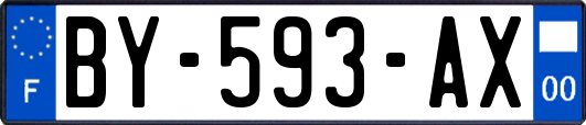 BY-593-AX