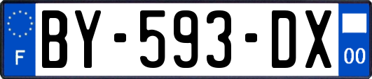 BY-593-DX