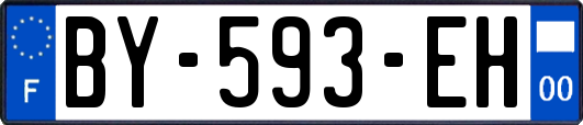 BY-593-EH