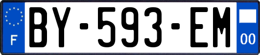 BY-593-EM