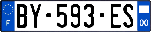 BY-593-ES