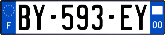 BY-593-EY